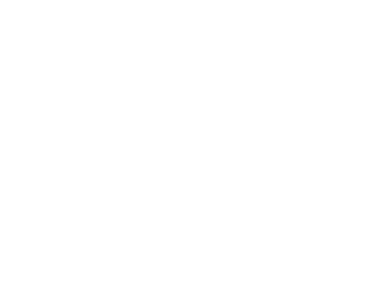 Escape Hunt
