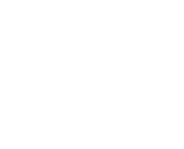 Hint Hunt