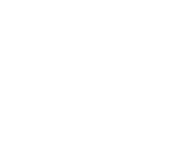 Mystery Escape