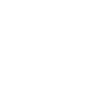 The Game