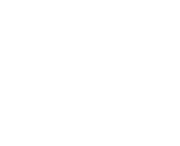 X-Dimension